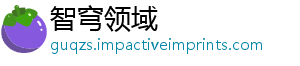 智穹领域